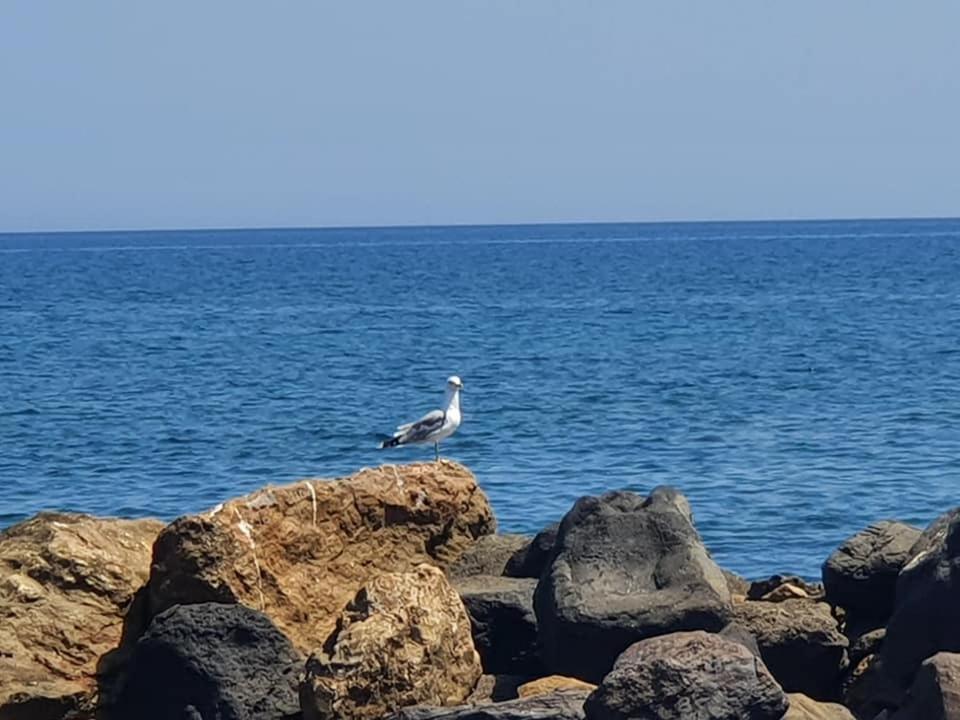 Rodothea And Adams On The Beach, Santorini Монолитос Экстерьер фото